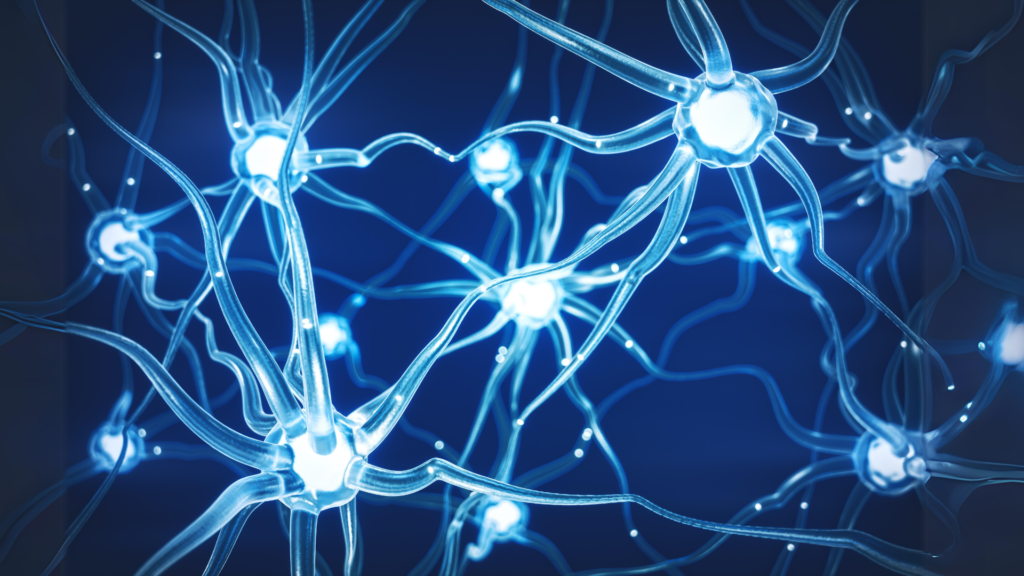 Sztuczne sieci neuronowe: jak trenować?
